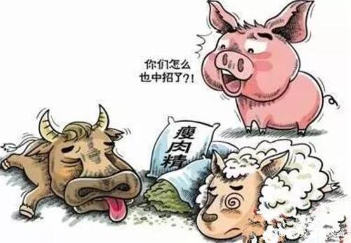 獸藥殘留檢測儀如何檢測？