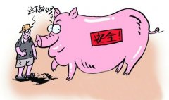動物疫病診斷的方法有哪些？