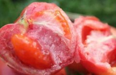 為何建議超市配備食品安全檢測儀？